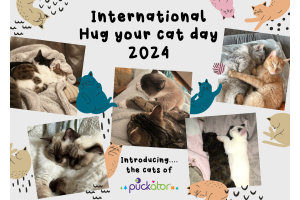 Celebra la giornata abbraccia il tuo gatto con Puckator