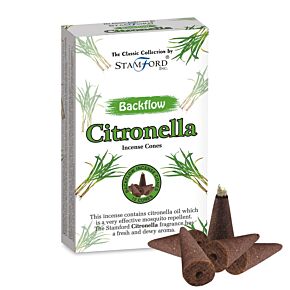 37423 Coni d'Incenso Stamford Backflow - Citronella