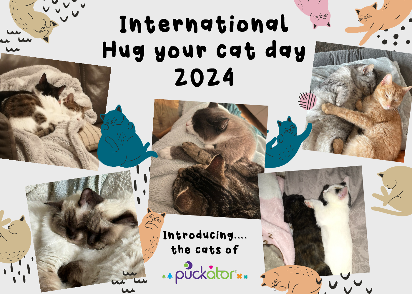 Celebra la giornata abbraccia il tuo gatto con Puckator